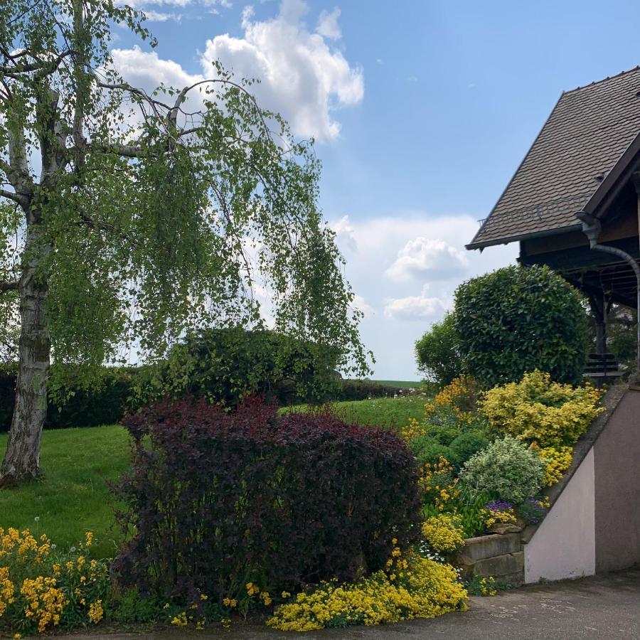 Appartement Charmant A Hochfelden 100 M² Et Parking Gratuit Gottesheim Exterior photo